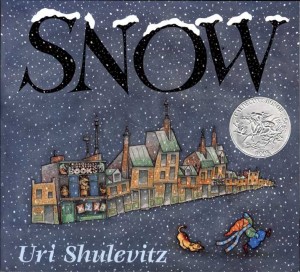 Snow Book Cover