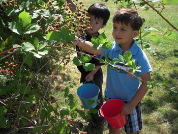 Little Fruit Farm Montessori