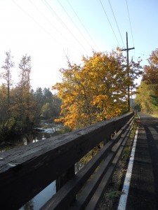 The Springwater Corridor, a 30-mile biking trail from Portland to Gresham, runs straight through Tideman Johnson Natural Area. You can easily ride your bike here, as it is only about four miles from downtown. 