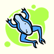 Blue Frogs Jump Preschool