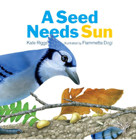 seed needs sun