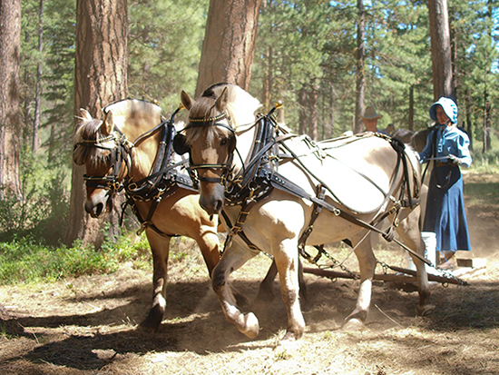 2010 Wagon Train