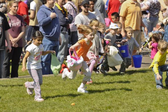 rabbit romp zoo