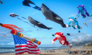 summer kite fest