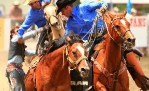 vancouver rodeo