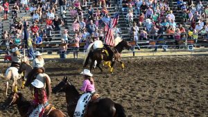 yamhill cty fair