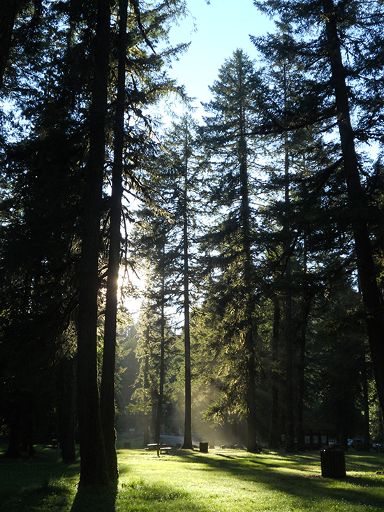 Dodge Park is Portland’s best-kept secret: peaceful, beautiful, and free! 