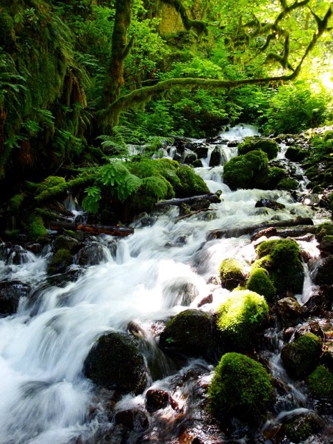 Wahkeena Falls