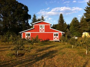 bells orchard