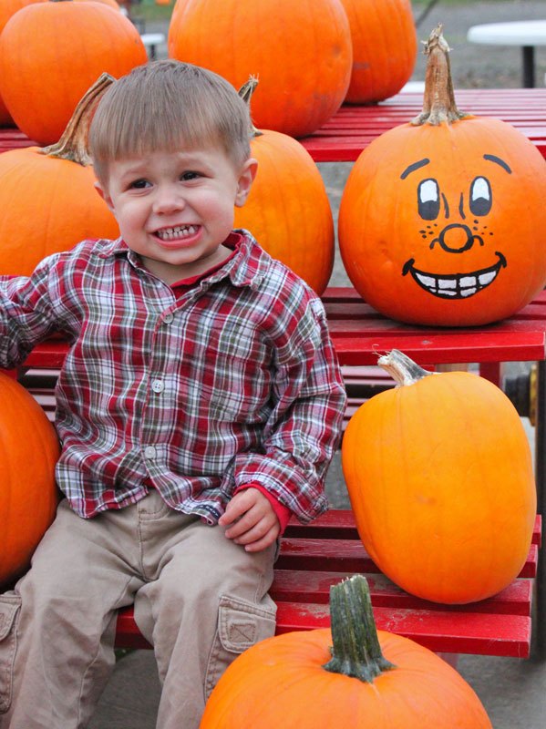 wooden-shoe-pumkin-fest-woodburn-image-courtesy-of-wooden-shoe-tulip-farm