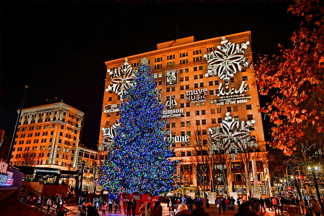 christmas-tree-portland