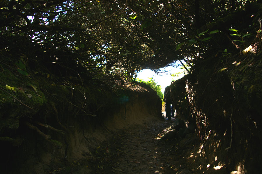 ~Mers "The Hobbit Hole" used under a Creative Commons license
