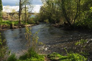 johhson creek