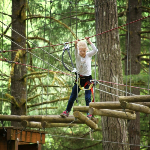 Tree to Tree Adventure Park