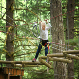 Tree to Tree Adventure Park