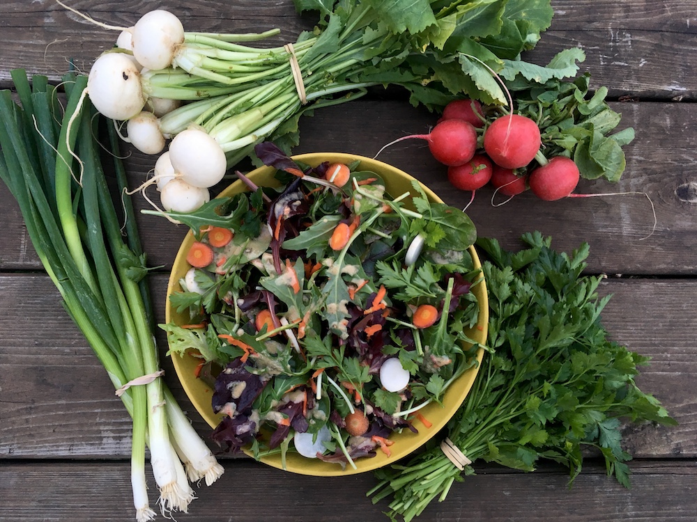 Farm Punk Salads greens