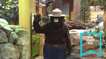 The Short List Smokey the Bear