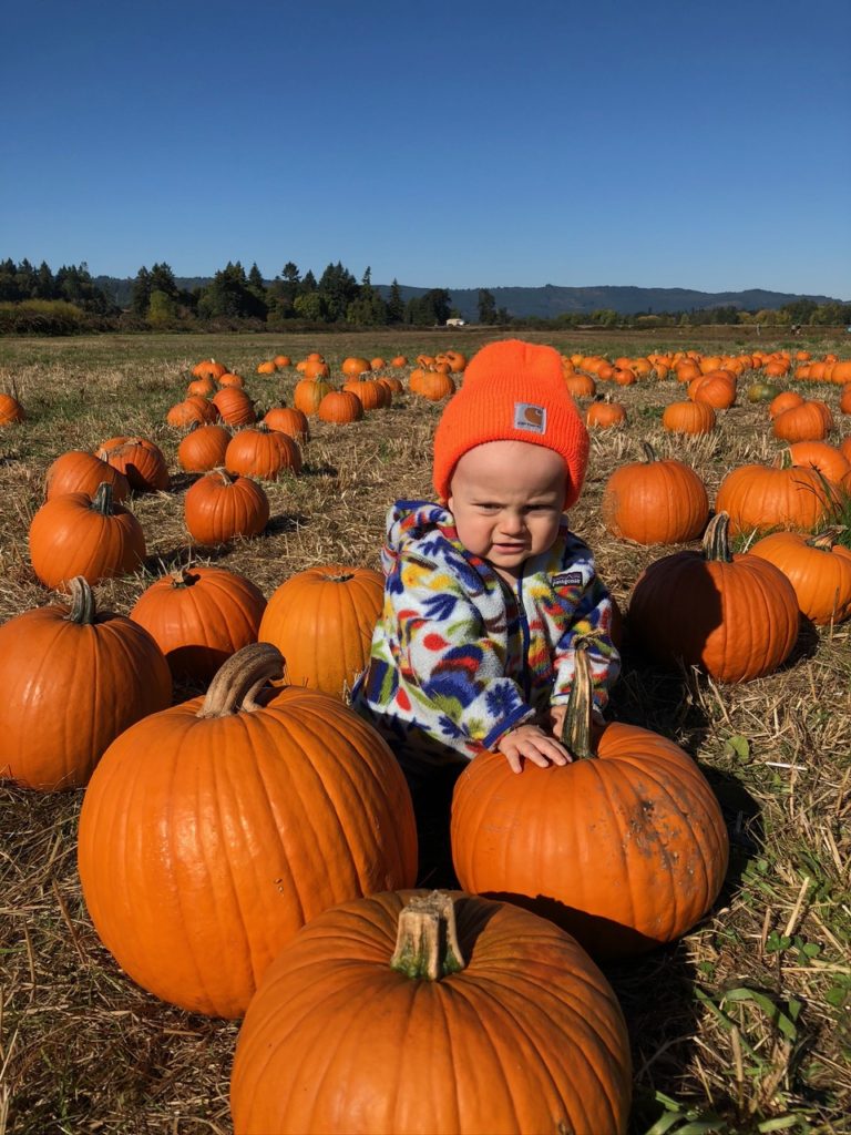 pumpkin picking