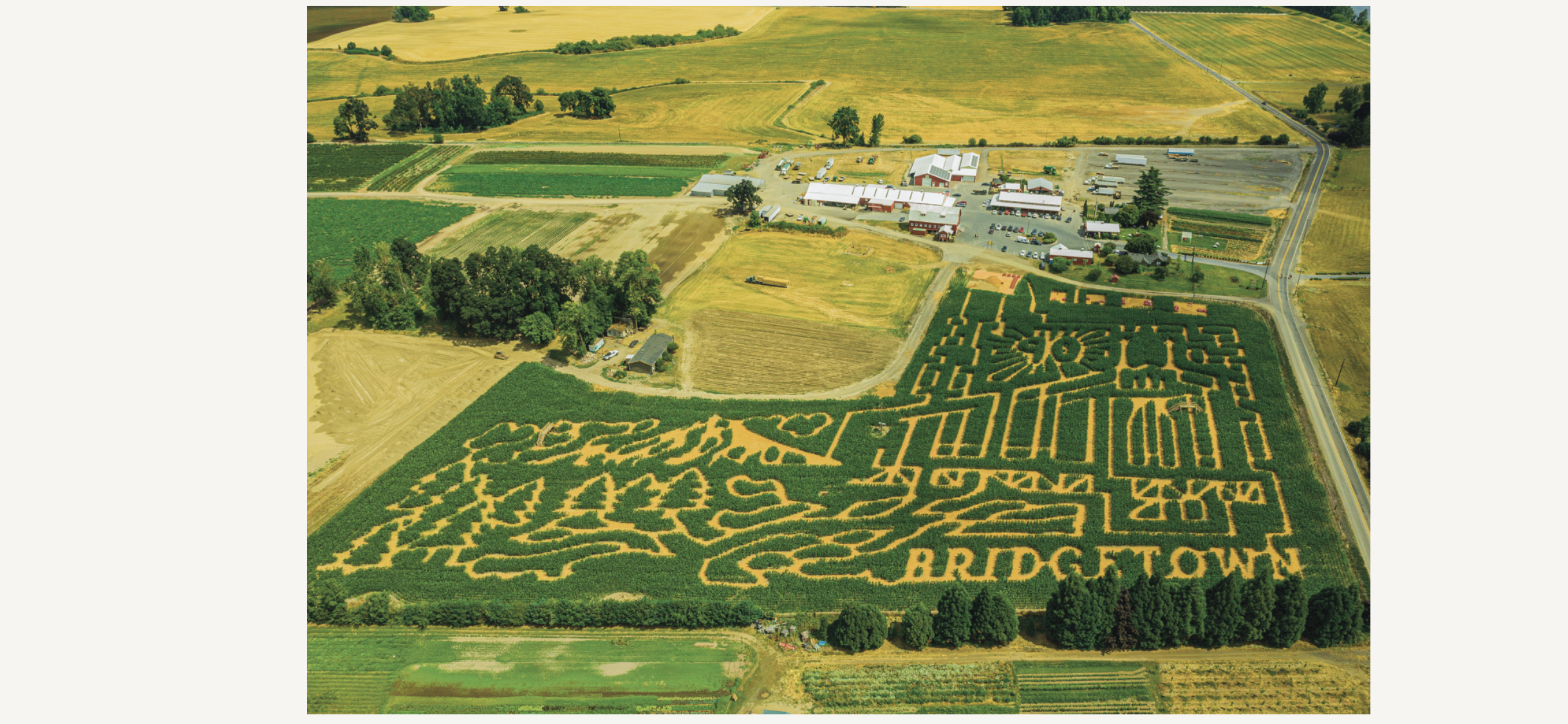 The MAiZE at The Pumpkin Patch